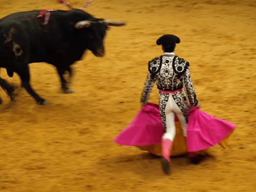 blurred bullfight #1